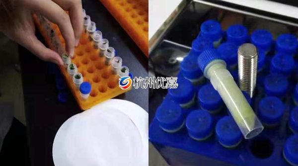 宋慈研磨儀批量研磨植物組織，速度快，重復(fù)性好