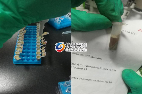 <a href=http://m.ffg666.com/prouduct/lengdong/ target=_blank class=infotextkey>冷凍研磨儀</a>